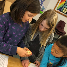 Featured image of article: GES 4th graders investigate NH mammal skulls.