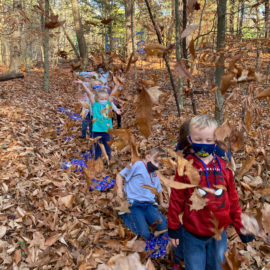 Featured image of article: Fun in the Fall Leaves!