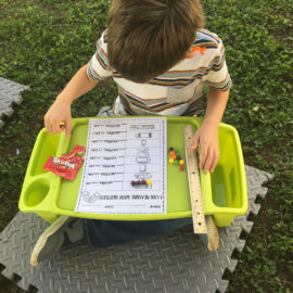 Featured image of article: Working on estimation and measurement in 2nd grade