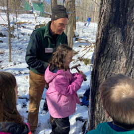 Featured image of article: Maple Sugaring in March!